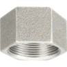 Raccord fonte malléable galvanisé fileté Bouchon femelle hexagonale - 1/2" - Galvanisée / Galva