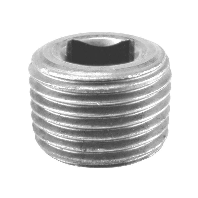 Raccord fonte malléable galvanisé fileté Bouchon mâle creux 4/6 pans - 3/4" - Galvanisée / Galva Raccord fonte malléable galvanisé fileté Bouchon mâle creux 4/6 pans - 3/4" - Galvanisée / Galva